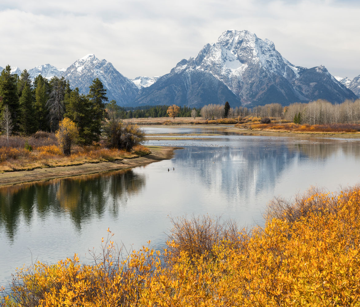 Washington forest landscape - Earth