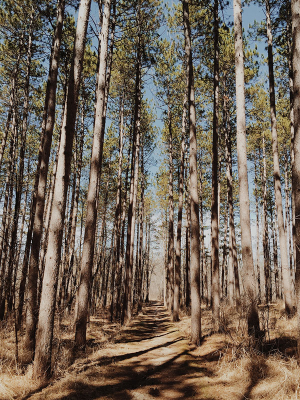 Donate soil to nature conservation - Earth